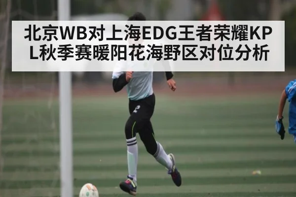 北京WB对上海EDG王者荣耀KPL秋季赛暖阳花海野区对位分析