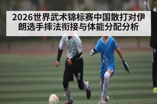 2026世界武术锦标赛中国散打对伊朗选手摔法衔接与体能分配分析
